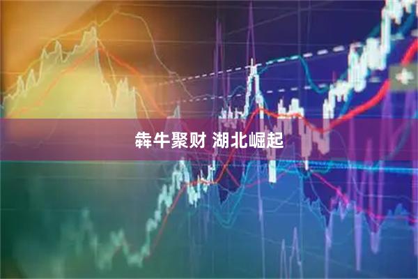 犇牛聚财 湖北崛起